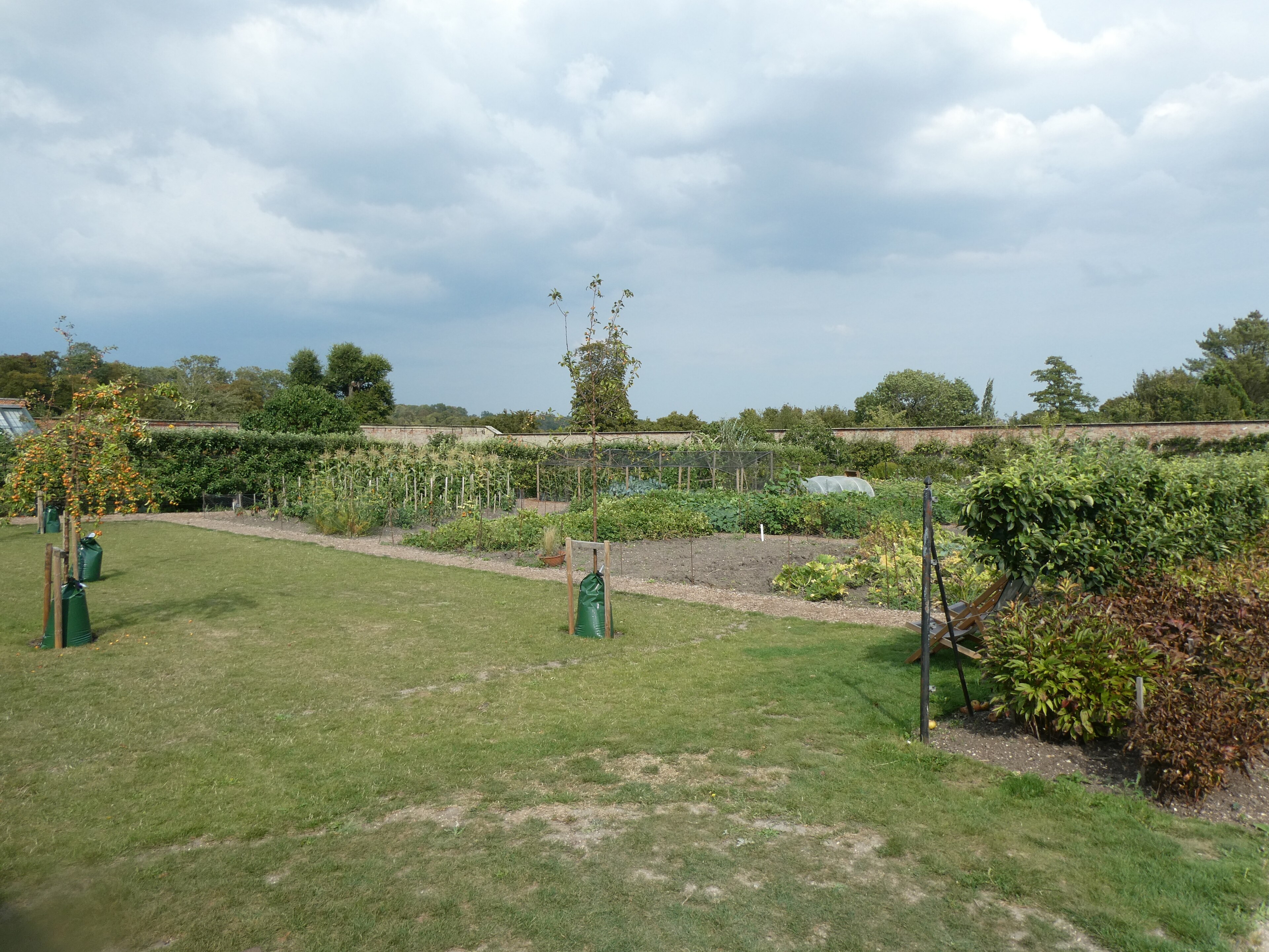 Как правилно да засадим овощно дръвче