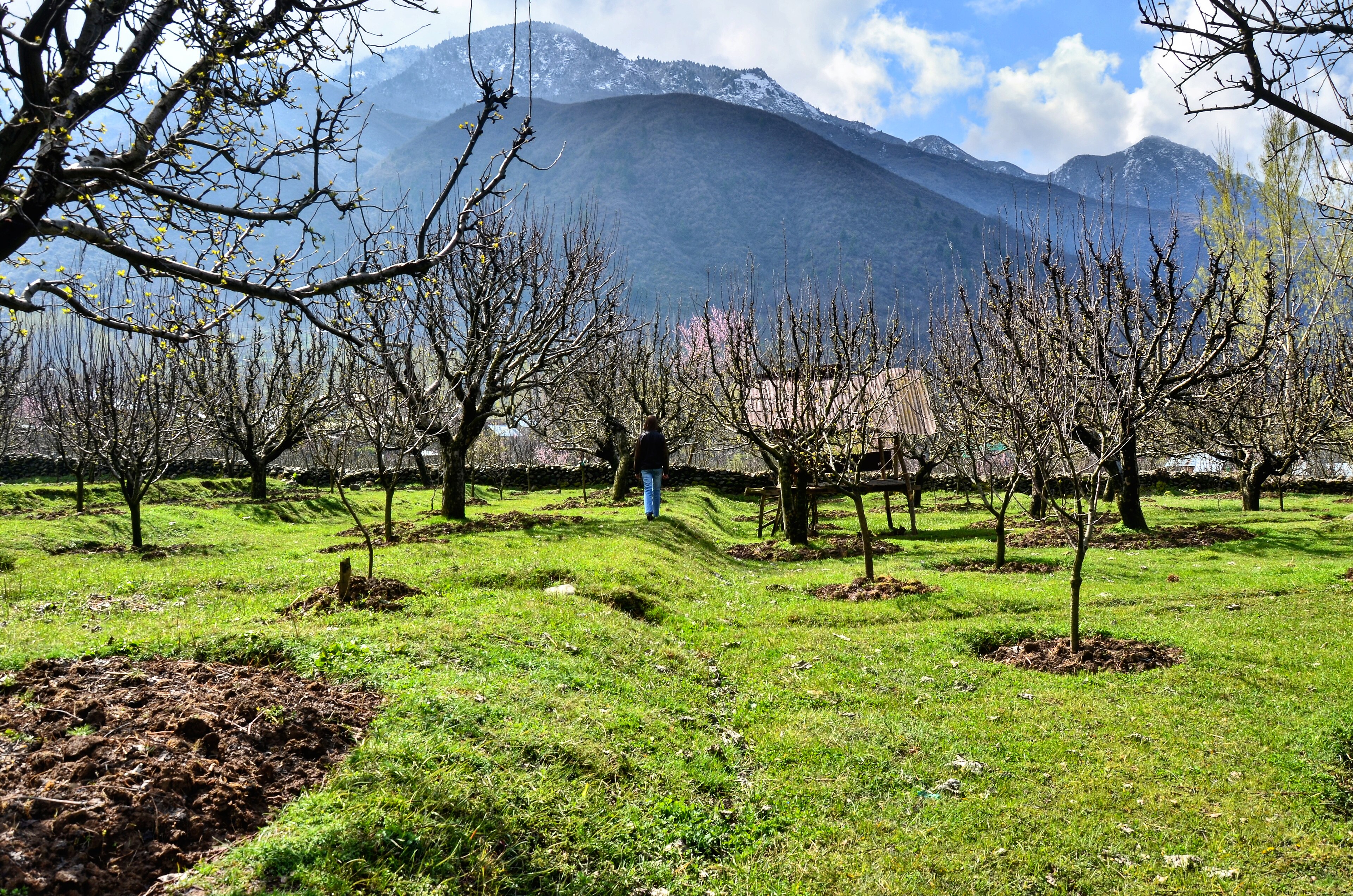 Овощна градина