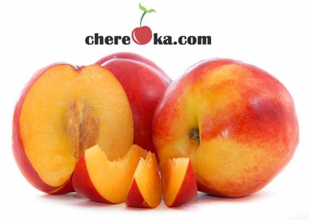 Праскова Нектарина Фантазия 12лв / 6.13€