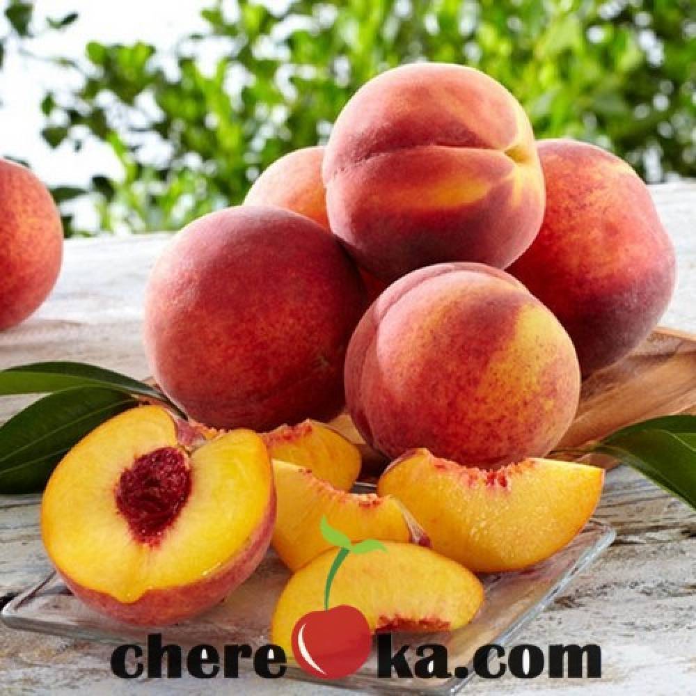 Праскова сорт Хале 7€