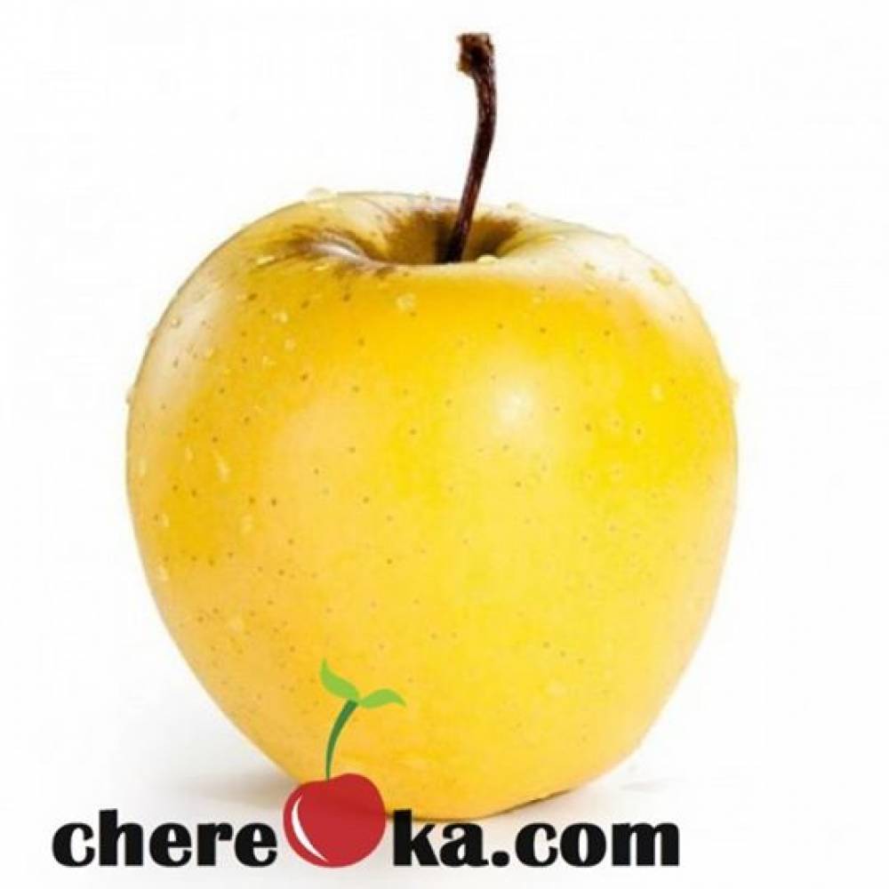 Ябълка Златна Превъзходна 12лв / 6.13€