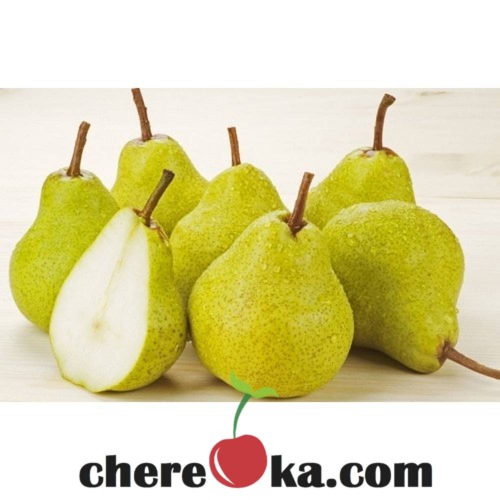 Круша Вилямова Масловка 12лв / 6.13€