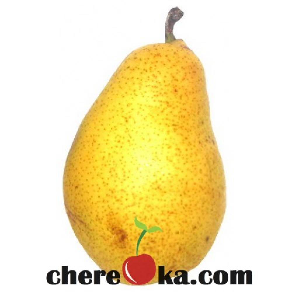 Круша Попска Масловка 7€